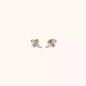 Aretes Garden Roses